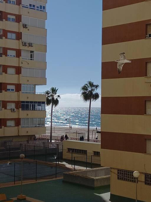 Alegrias De Cadiz By Gades Gestion Appartement Buitenkant foto